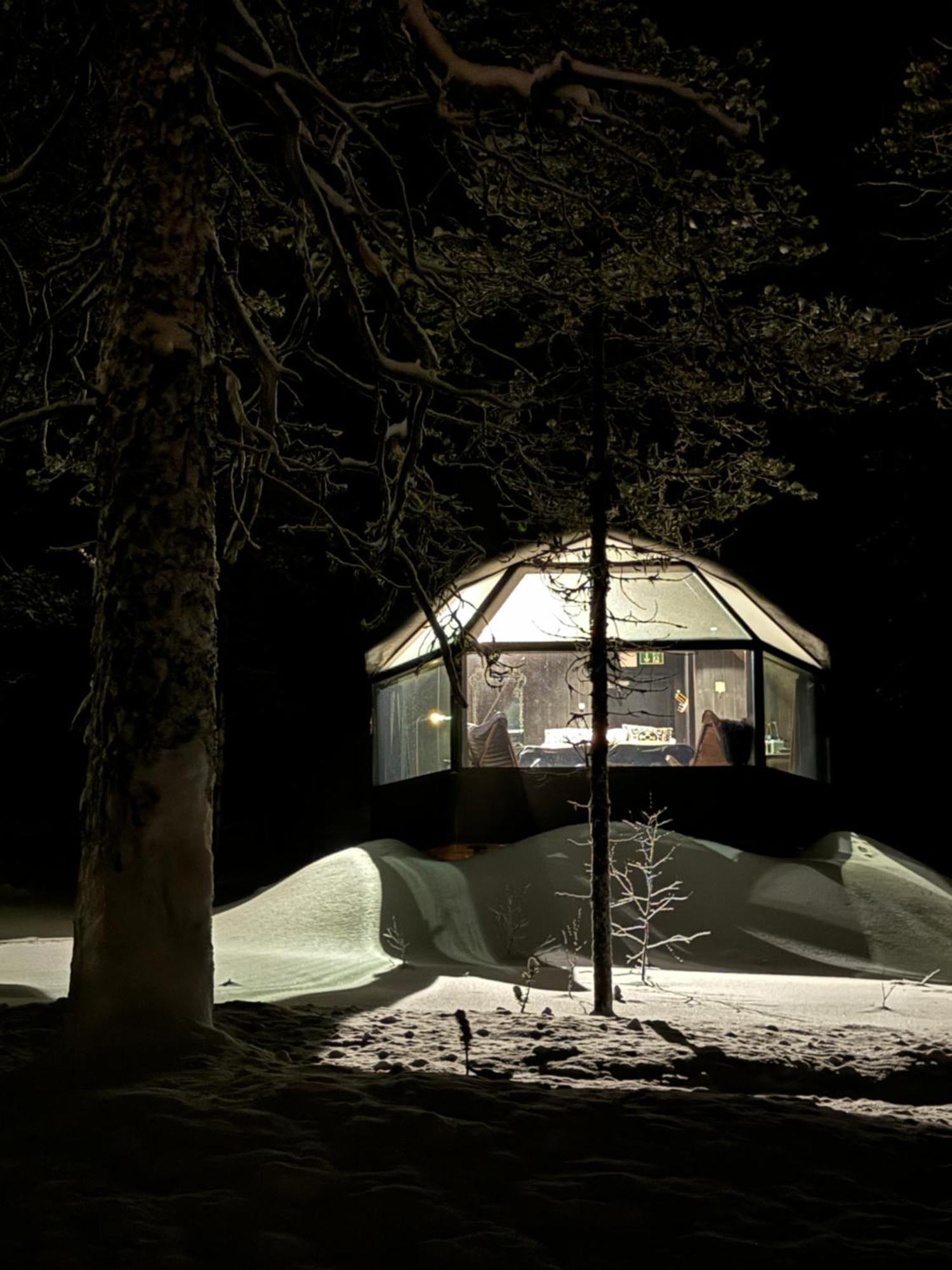 Aurora Queen Resort Igloos Saariselka Exterior photo
